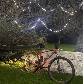 Used Focus Focus Custom Shimano Deore XT 2017 Mountainbike, Rot — image 2 of 3