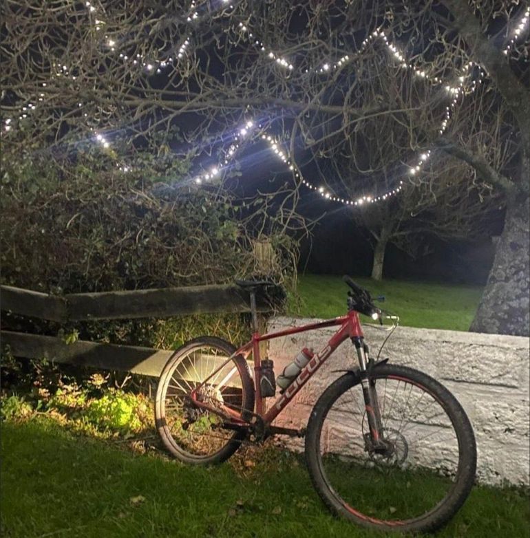Used Focus Focus Custom Shimano Deore XT 2017 Mountainbike, Rot — image 2 of 3