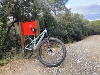 Used YT Industries IZZO Pro 2020 Frameset 2020 Mountainbike, Green, 29 — image 2 of 3
