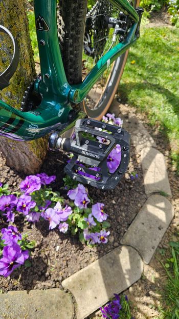 Used Specialized Epic SRAM X01 2023 Mountainbike, Green, 29 — image 8 of 8