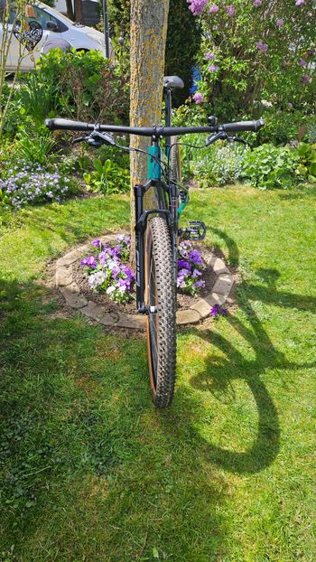 Used Specialized Epic SRAM X01 2023 Mountainbike, Green, 29 — image 2 of 8