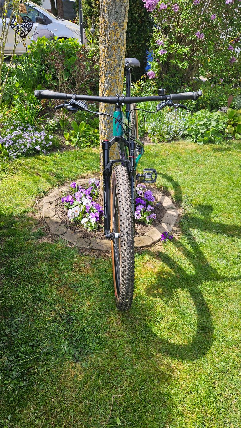 Used Specialized Epic SRAM X01 2023 Mountainbike, Green, 29 — image 2 of 8