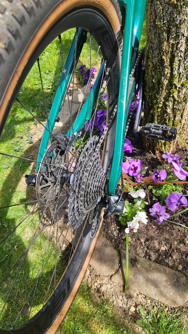 Used Specialized Epic SRAM X01 2023 Mountainbike, Green, 29 — image 4 of 8