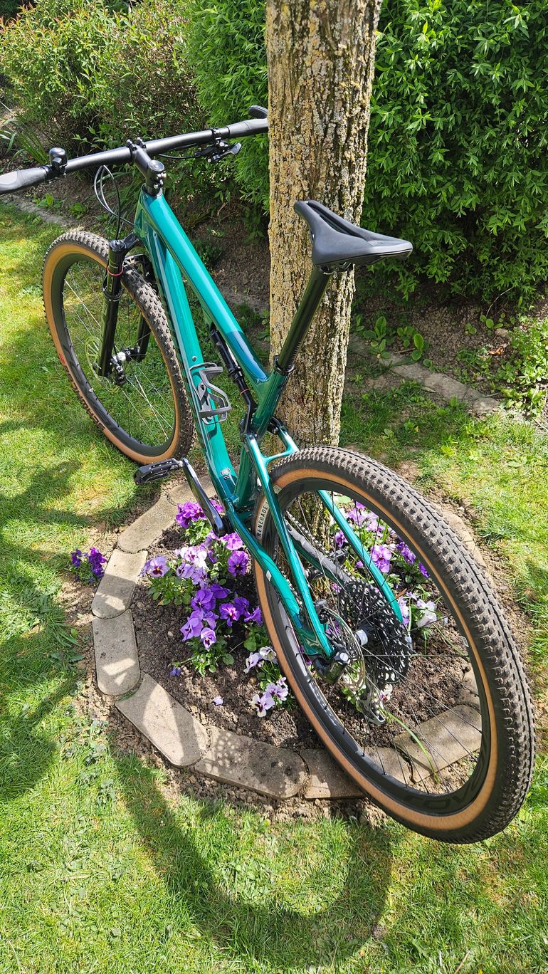 Used Specialized Epic SRAM X01 2023 Mountainbike, Green, 29 — image 5 of 8