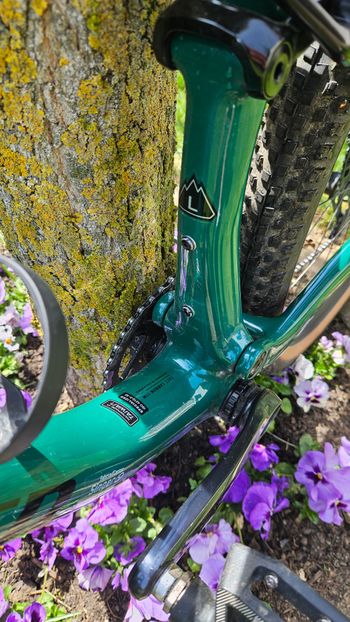 Used Specialized Epic SRAM X01 2023 Mountainbike, Green, 29 — image 3 of 8