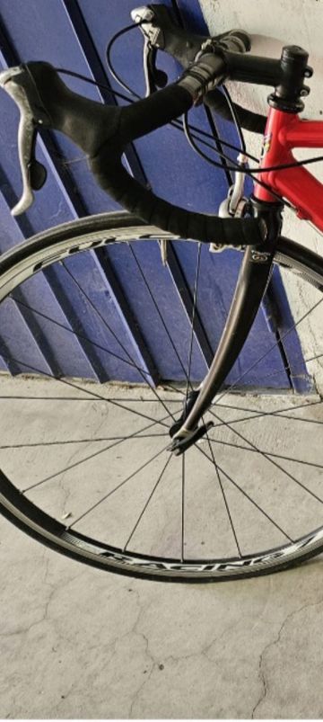 Used Colnago Master Shimano Ultegra 1998 Road & Gravel, Red — image 2 of 3