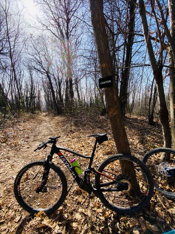 Used Olympia Olympia Custom Shimano Deore XT 2022 Mountainbike, Orange — image 2 of 5