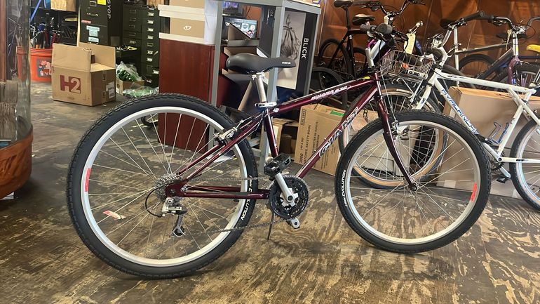 Used Giant Iguana 630 1998 Road & Gravel, Red — image 2 of 3
