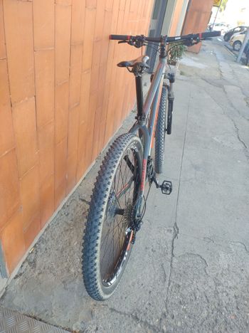 Used Bottecchia Gavia 29 Del 2019. 2019 Mountainbike, Light Gray — image 3 of 6