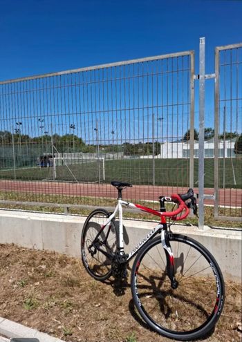 Used Pinarello Pinarello Custom Campagnolo Veloce 2015 Road & Gravel