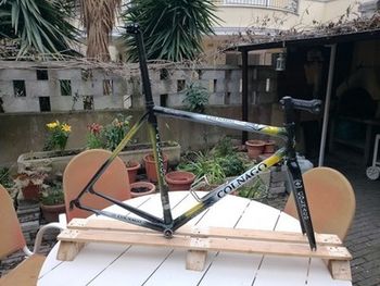 Used Colnago Colnago C40 Frameset 2001 Road & Gravel