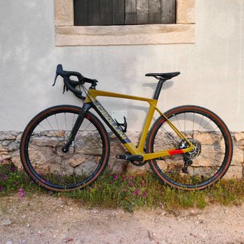 Used Cipollini MCM All Road Daytona Pro 1+ Bike 2019 2019 Road & Gravel, Green — image 3 of 3