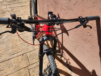 Used Carbon Team GW Panther Carbono 29 2025 Mountainbike, Nero — image 7 of 9