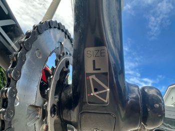 Used Olympia Olympia Custom Shimano Ultegra 2016 Road & Gravel — image 8 of 8