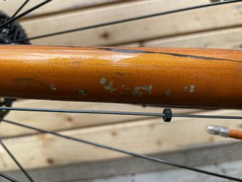 Used Trek Domane AL 5 Disc 2021 2021 Road & Gravel, Orange — image 13 of 14