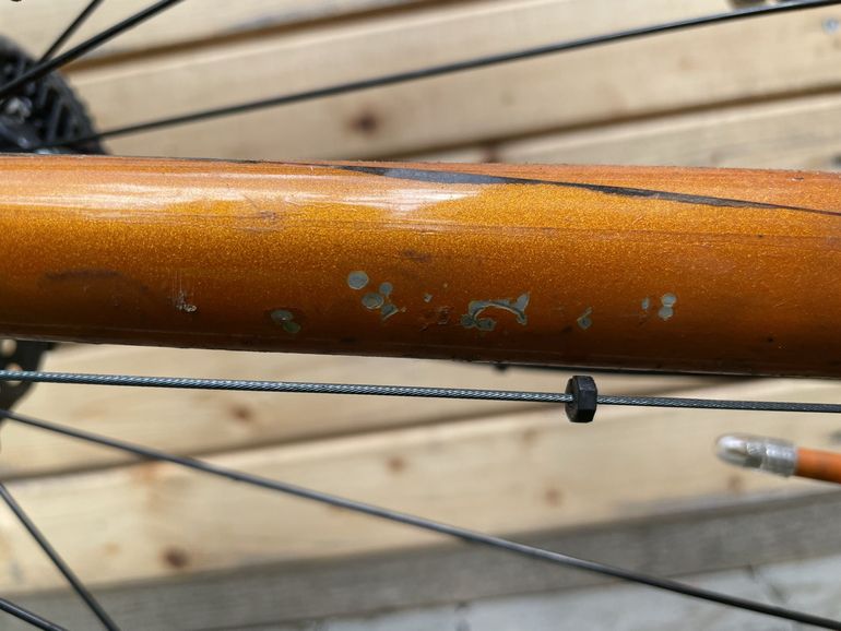 Used Trek Domane AL 5 Disc 2021 2021 Road & Gravel, Orange — image 13 of 14
