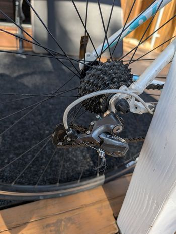 Used Trek Lexa SL Compact 2015 2015 Road & Gravel, White — image 14 of 23