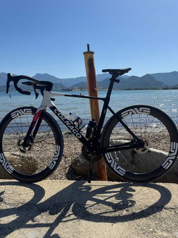 Used Colnago V5Rs Shimano Dura Ace Di2 2026 2026 Road & Gravel, White — image 4 of 4