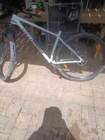 Used Specialized Chisel Hardtail 2025 2025 Mountainbike, White, 29 — image 2 of 3