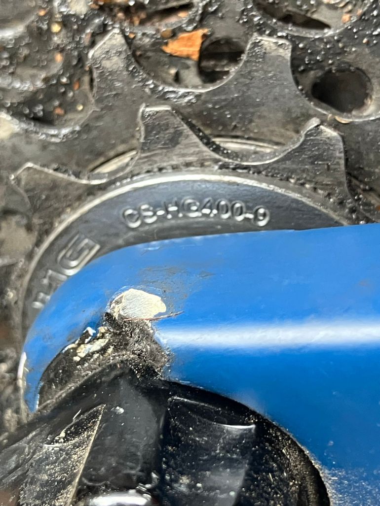 Used Pivot Rirebird 2020 Pivot Rirebird 2020 Custom Shimano Deore 2020 Mountainbike, Blu — image 8 of 8