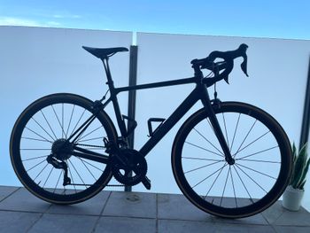Used Canyon Endurace CF 8.0 Di2 2019 2019 Road & Gravel, Schwarz — image 2 of 22
