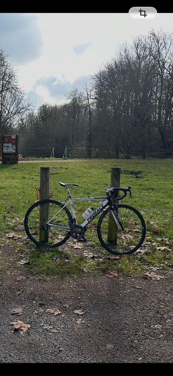 Used Prorace Prorace Custom Shimano Ultegra Di2 2016 Road & Gravel — image 2 of 3