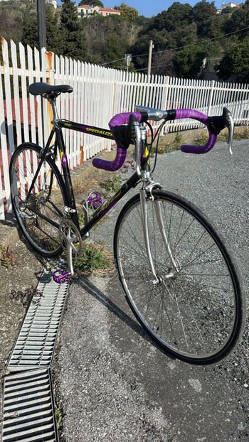 Used Specialized Allez Campagnolo Super Record 1994 Road & Gravel, Nero — image 3 of 7