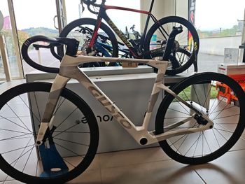 Used gusto gtr Gusto gtr Custom Frameset 2024 Road & Gravel — image 2 of 3