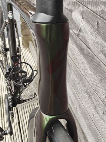 Used Specialized S-Works Tarmac SL7 - SRAM Red eTap AXS 2023 2023 Road & Gravel, Green — image 8 of 10