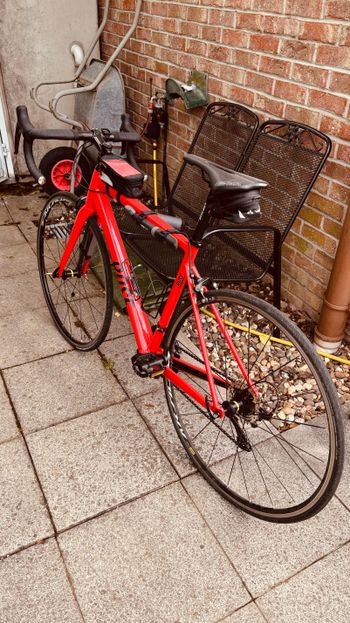Used Rose PRO SL 105 2019 2019 Road & Gravel, Red — image 2 of 13