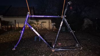 Used Trek 720 1993 Frameset Frameset 1993 Road & Gravel, Purple — image 2 of 3