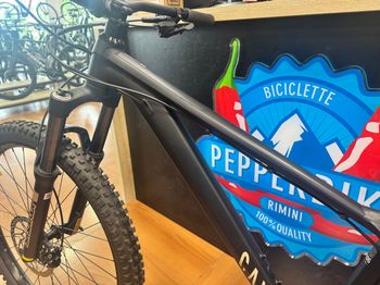 Used Canyon Stoic 2 2023 2023 Mountainbike — image 24 of 29