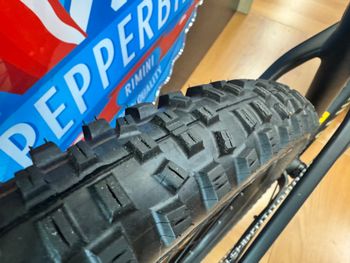 Used Canyon Stoic 2 2023 2023 Mountainbike — image 14 of 29