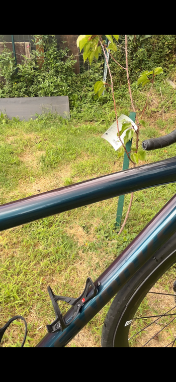 Used Specialized S-Works Tarmac SL8 - Shimano Dura-Ace Di2 2025 2025 Road & Gravel, Blue — image 4 of 4
