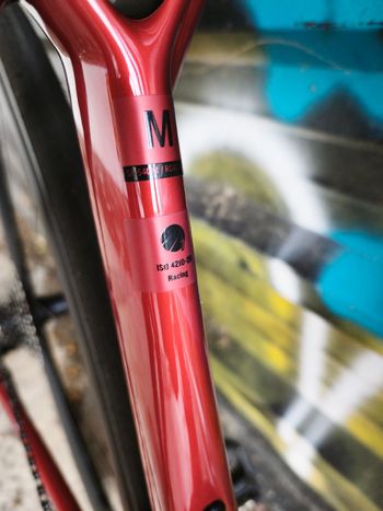 Used Trek Madone SL 6 Gen 8 2026 2026 Road & Gravel, Red — image 8 of 14