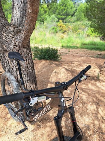 Used Specialized Enduro Comp 2025 2025 Mountainbike, Hellgrau — image 2 of 7