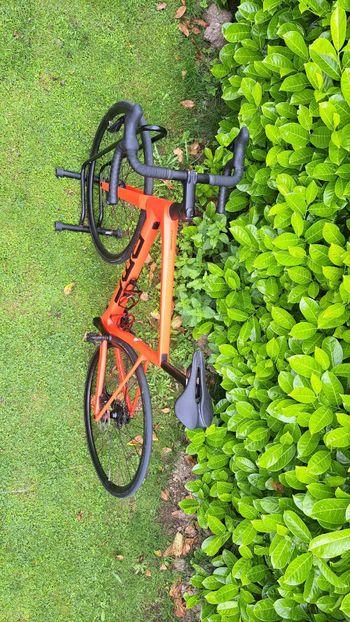 Used BMC Teammachine SLR THREE 2025 2025 Road & Gravel, Red — image 2 of 9