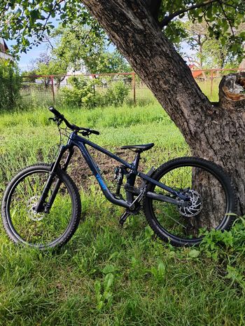 Used Trek Slash 8 Gen 6 2024 2024 MTB