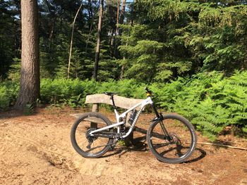 Used Propain Spindrift AL 29 Performance 2022 2022 Mountainbike — image 2 of 11