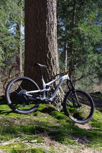 Used Propain Spindrift AL 29 Performance 2022 2022 Mountainbike — image 11 of 11