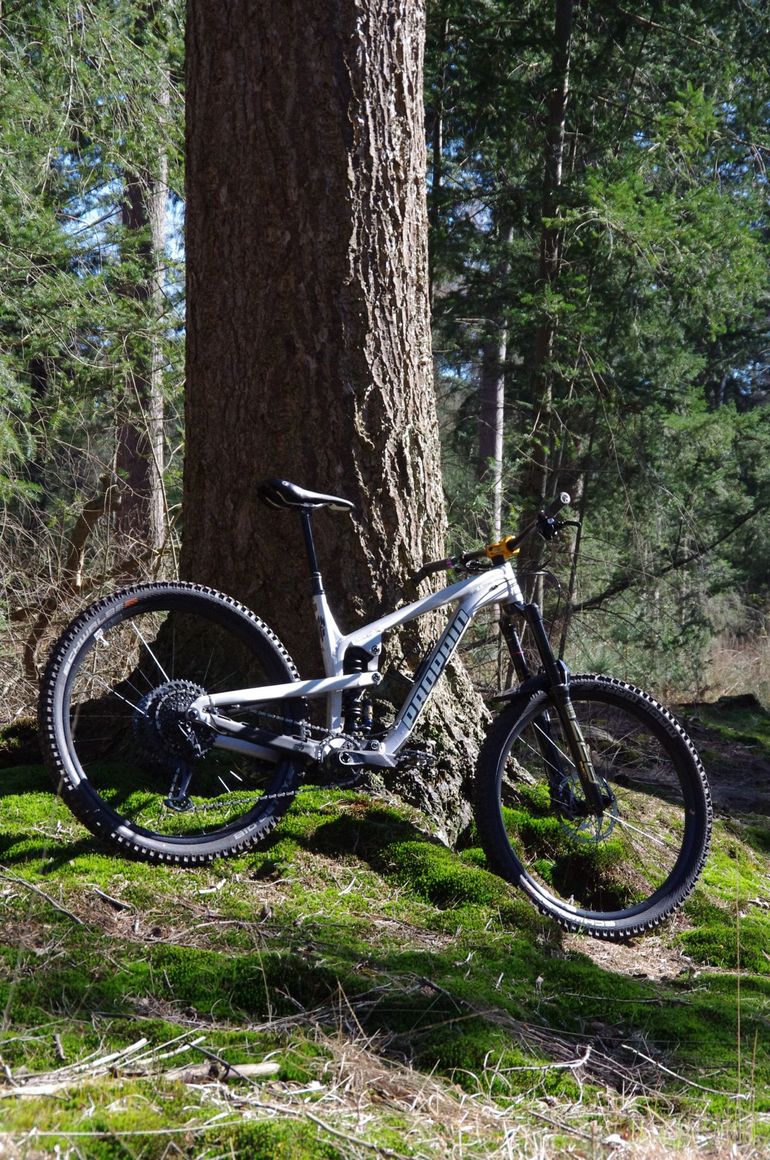 Used Propain Spindrift AL 29 Performance 2022 2022 Mountainbike — image 11 of 11