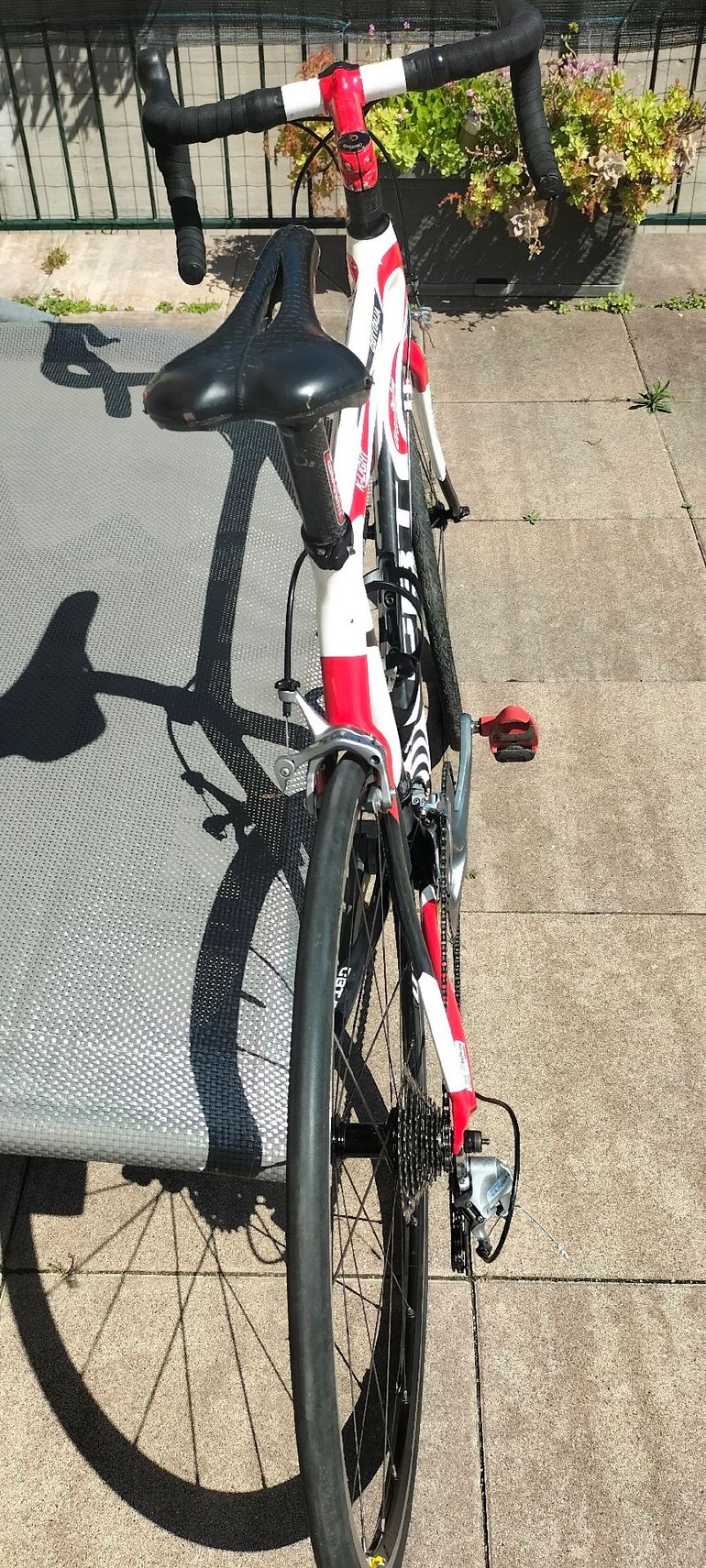 Used CBT Italia CBT Italia Custom Shimano Ultegra 2011 Road & Gravel, White — image 5 of 6