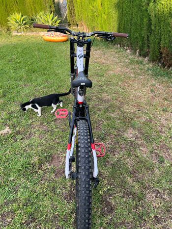 Used Mondraker Summum 27.5 2021 2021 Mountainbike, White, 27.5 — image 5 of 19