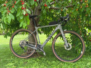 Used Canyon Grizl 8 1by 2023 2023 Racefiets & gravel