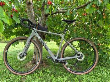 Used Canyon Grizl 8 1by 2023 2023 Road & Gravel — image 13 of 14
