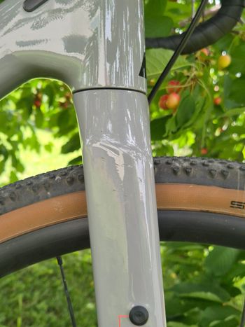 Used Canyon Grizl 8 1by 2023 2023 Road & Gravel — image 2 of 14