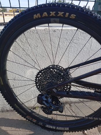 Used Orbea OIZ M-TEAM AXS 2025 2025 Mountainbike, Light Gray — image 3 of 10