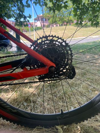 Used Scott Scale 960 2019 2019 Mountainbike, Rot, 29 — image 11 of 12