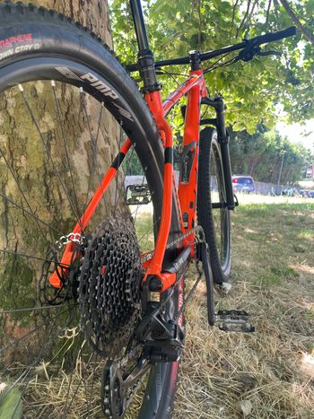 Used Scott Scale 960 2019 2019 Mountainbike, Rot, 29 — image 7 of 12