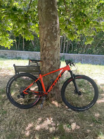 Used Scott Scale 960 2019 2019 Mountainbike, Rot, 29 — image 2 of 12